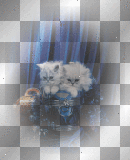 Kerstie: Christmas cats