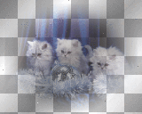 Kerstie: Christmas Cats