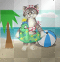 cute cat