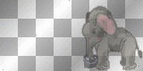 ANIMAL ELEPHANT WELCOME TRANSPARENT ANIMATED