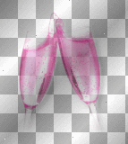 Champagne glasses pink new year