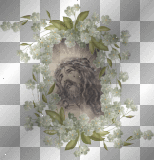 rostro de jesus con brillo