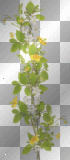 flowers, garden, spring, deco