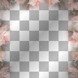 Frame Border Flowers Pink