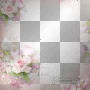 [ spring. pink. rose. ♥. ] ⓒ s ᴛ ᴇ ᴡ