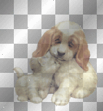 animated,dog and cat,dubravka
