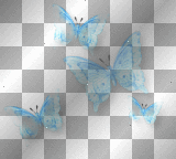 Butterflies blue