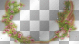 frame vintage  transparent 
