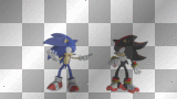 Sonic & Shadow