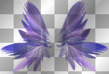 purple wings
