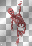 FANTASY GOTHIC SKULL SKELETON RED