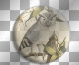Vintage fantasy button bird owl