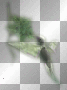 soave bird flowers green