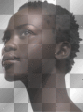 artemia transparent woman-face-profile africa