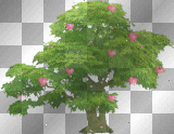 tree hart