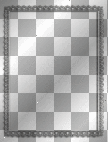 artemia transparent vertical-frame-silver
