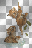 ♥ Tiger Babies © by Nina