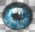 eye