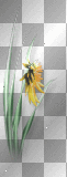 Flower tropical yellow green