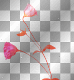 artemia transparent flower(s) pink