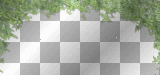 artemia transparent border-frame leaves-leaf green