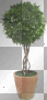 artemia transparent deco-tree-in-pot