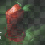 background animated flower