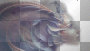 woman fantasy gothic transparent