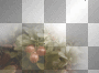 flowers plant deco - by michelle1234oi™