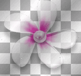 Flower pink