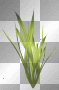 Spring summer water green grass