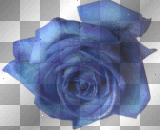 Wingska fantasy gothic vintage flowers rose blue