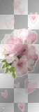 AM9505 bouquet fleurs/roses