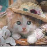Orange Kitten in Spring Hat   By BRU