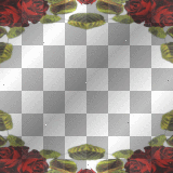 frame vintage  transparent 