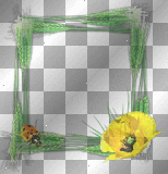 Frame poppy flower ladybug grass green yellow