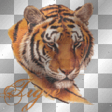 Tigre
