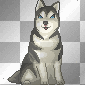 Animated Barking Wolf!!!LW