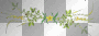 tendril tendril
