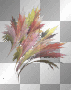 coloured feathers coloured feathers