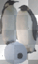 penguins penguins