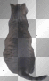 cat cat