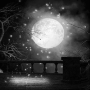 soave background animated moon autumn halloween gothic fantasy black white
