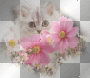 cat with flowers