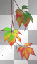 Leaves orange green animated