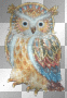 Pretty Owl