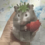 Hamster Eating Strawberry gif