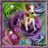 Thanks to my friends
