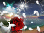 DarkNight97