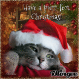 Liebe Daggi - Frohe Weihnachten ♥